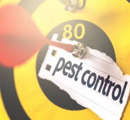 Pest Control 1